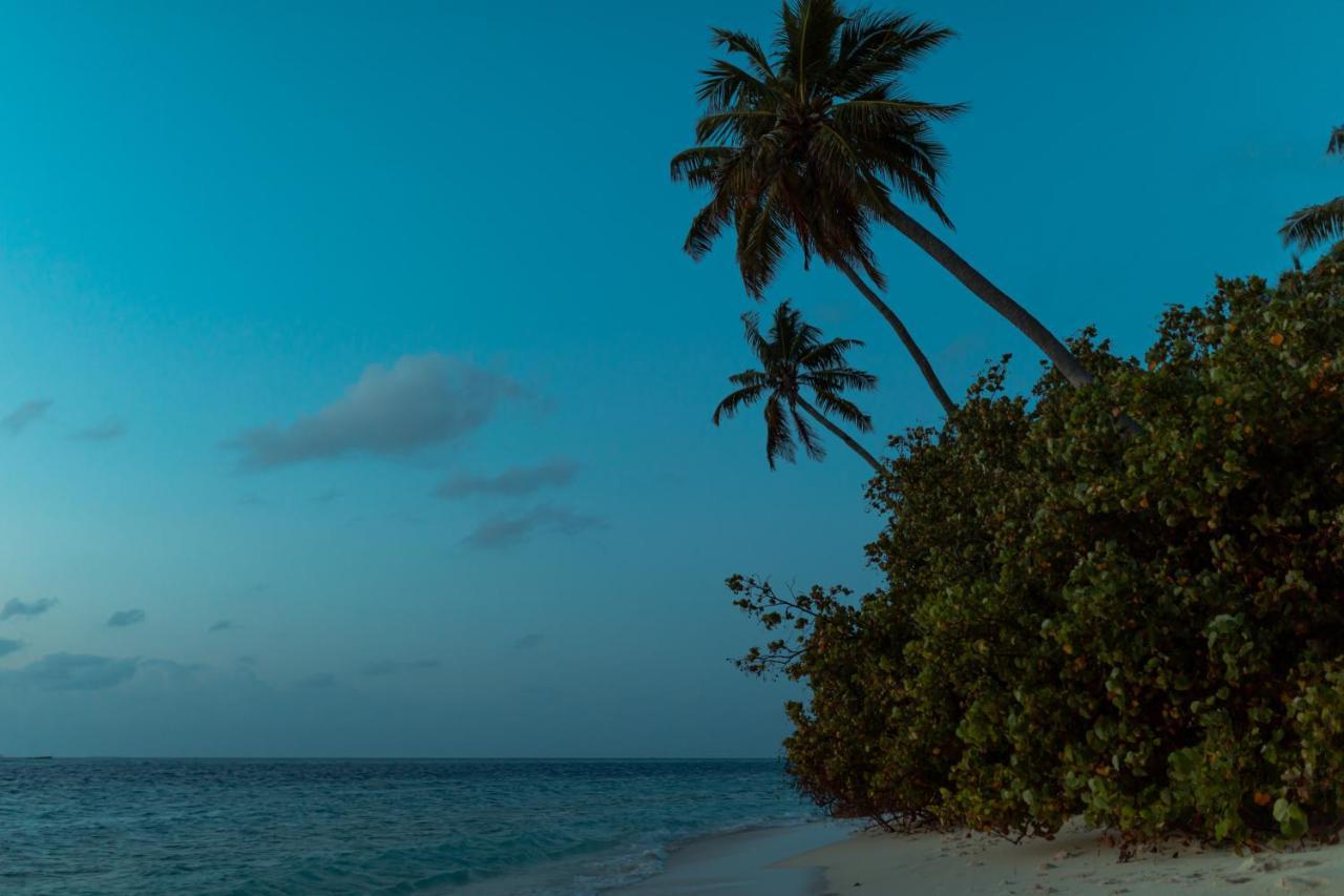 Hotel Wow Retreat Felidhoo Exterior foto