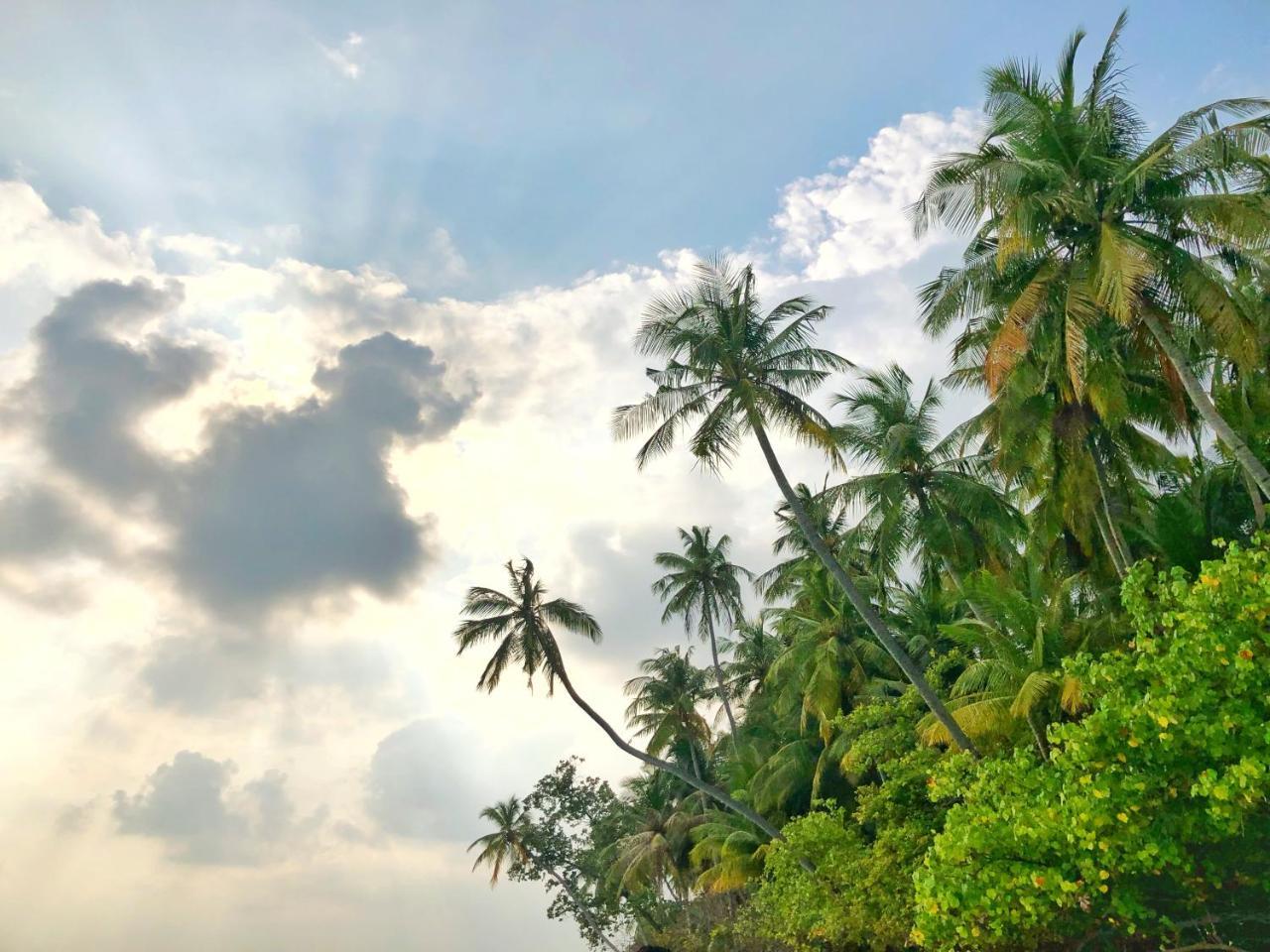 Hotel Wow Retreat Felidhoo Exterior foto